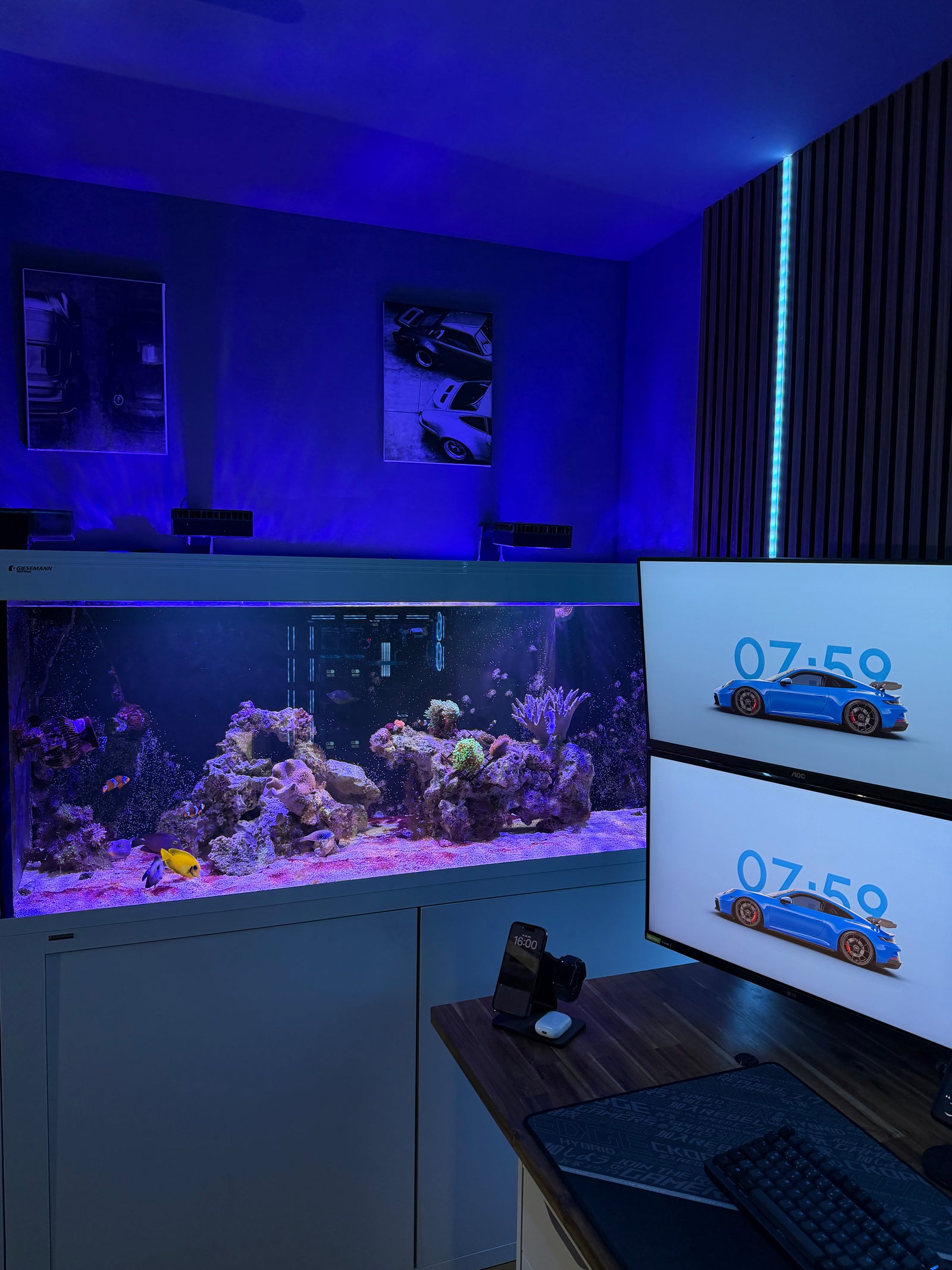 Das Meerwasseraquarium als Teil des Raumkonzepts.
